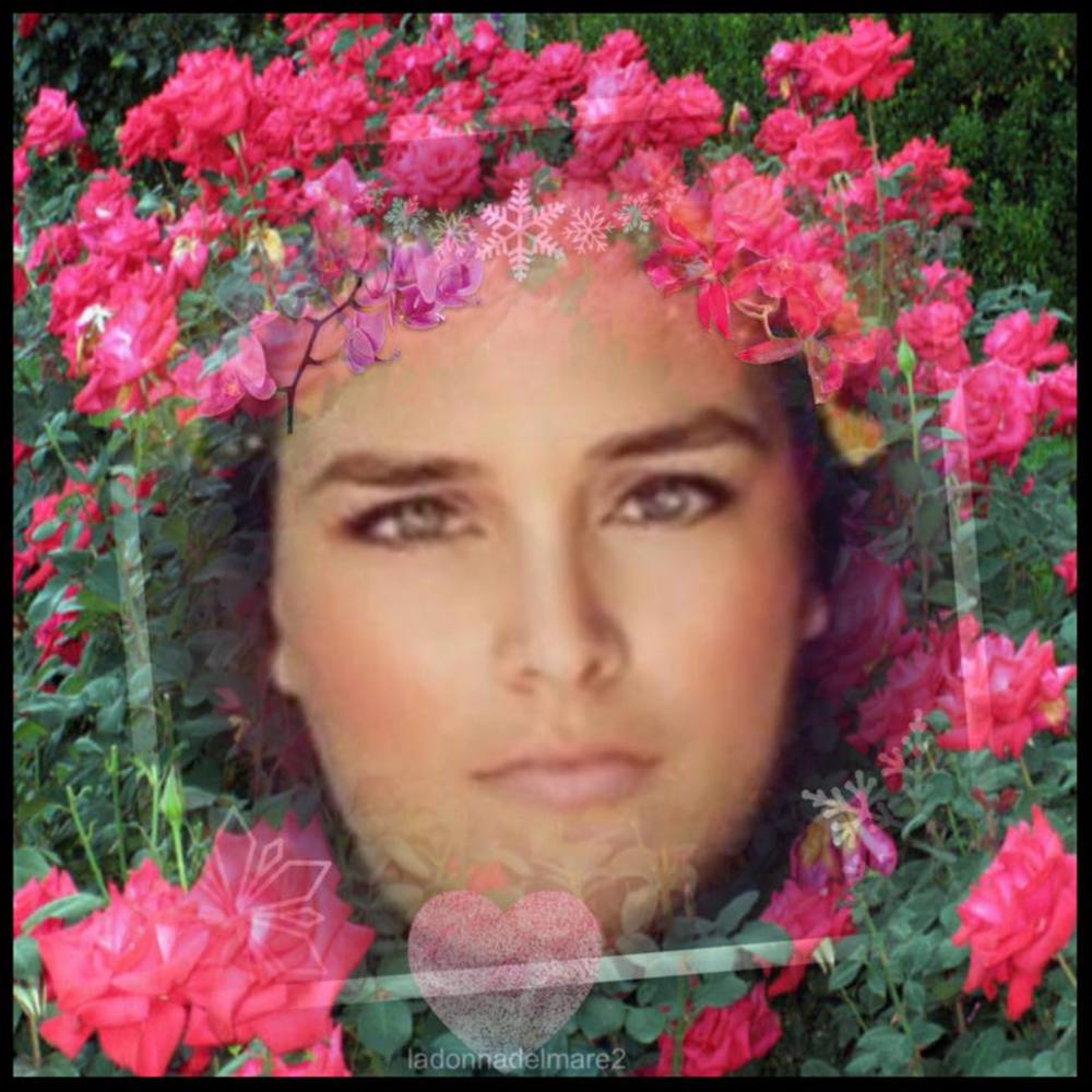 Meet your Posher, Tina